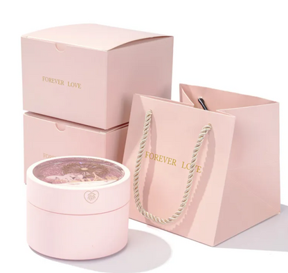 Ferris Wheel Rotating Jewelry Box with LED Light – Luxury Jewellery Organiser for Rings, Necklaces &amp; Accessories